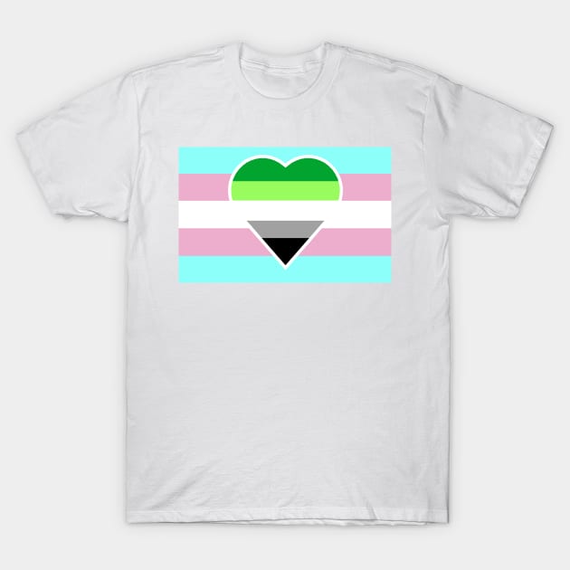 Transgender Pride Flag with Aromantic Heart (White-Stripe Variant) T-Shirt by DisneyFanatic23